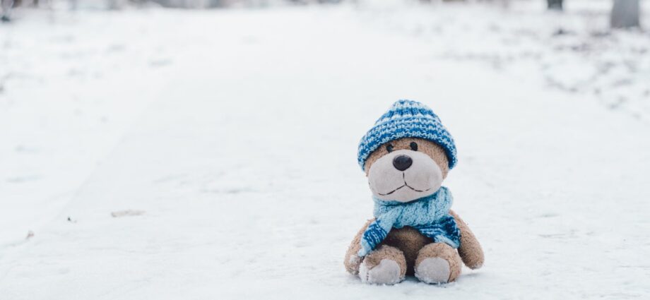 stuffed toy on snow