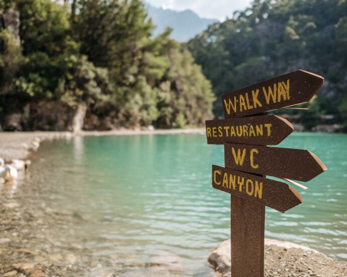 brown wooden signage near body of water