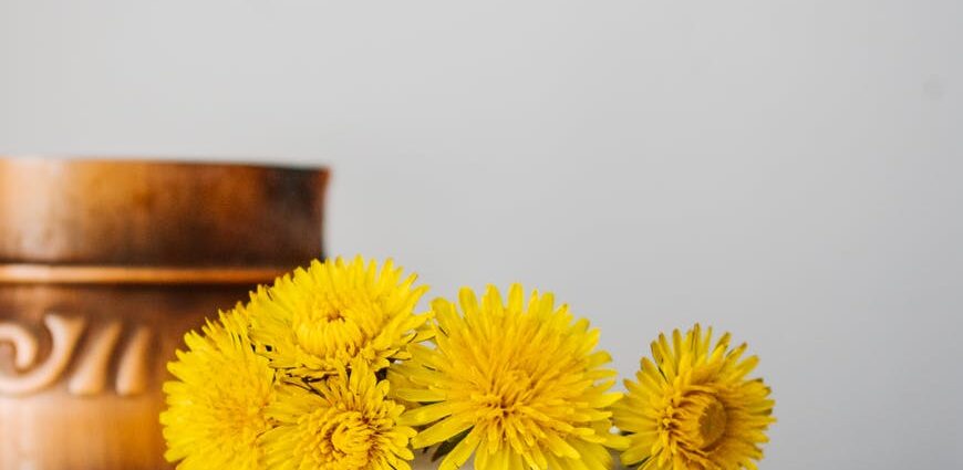 yellow dandelions placed in light mug against wall